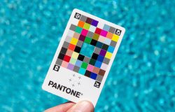 Pantone Color Of The Year