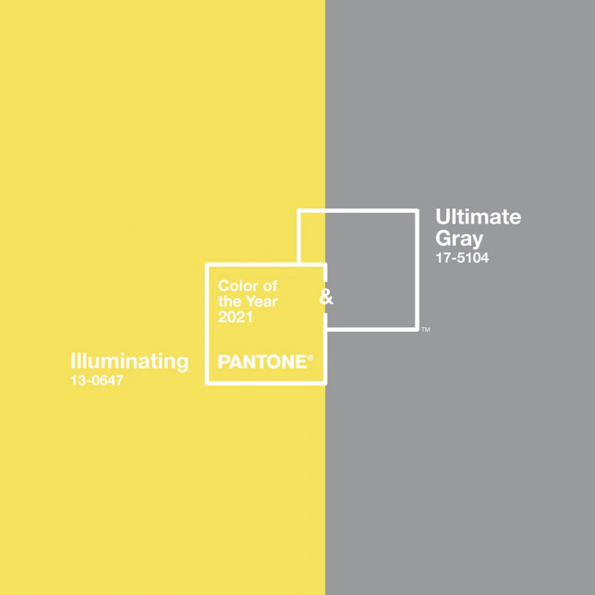 Pantone Announced Two Colors Instead Of One